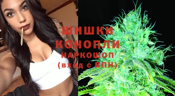 трава Аркадак
