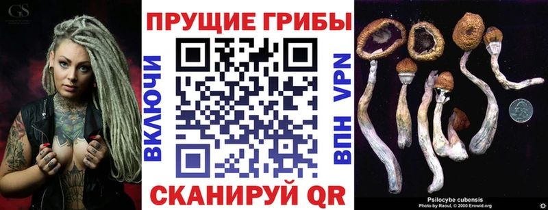 Псилоцибиновые грибы Psilocybine cubensis  купить наркотик  Калязин 